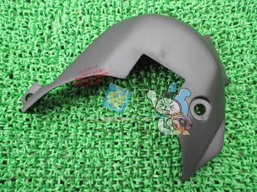 Sr50 engine cover in - cover,