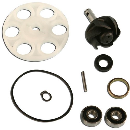 Water pump repair kit malaguti - pump,